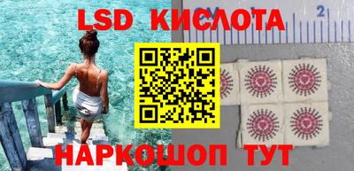 стаф Берёзовский