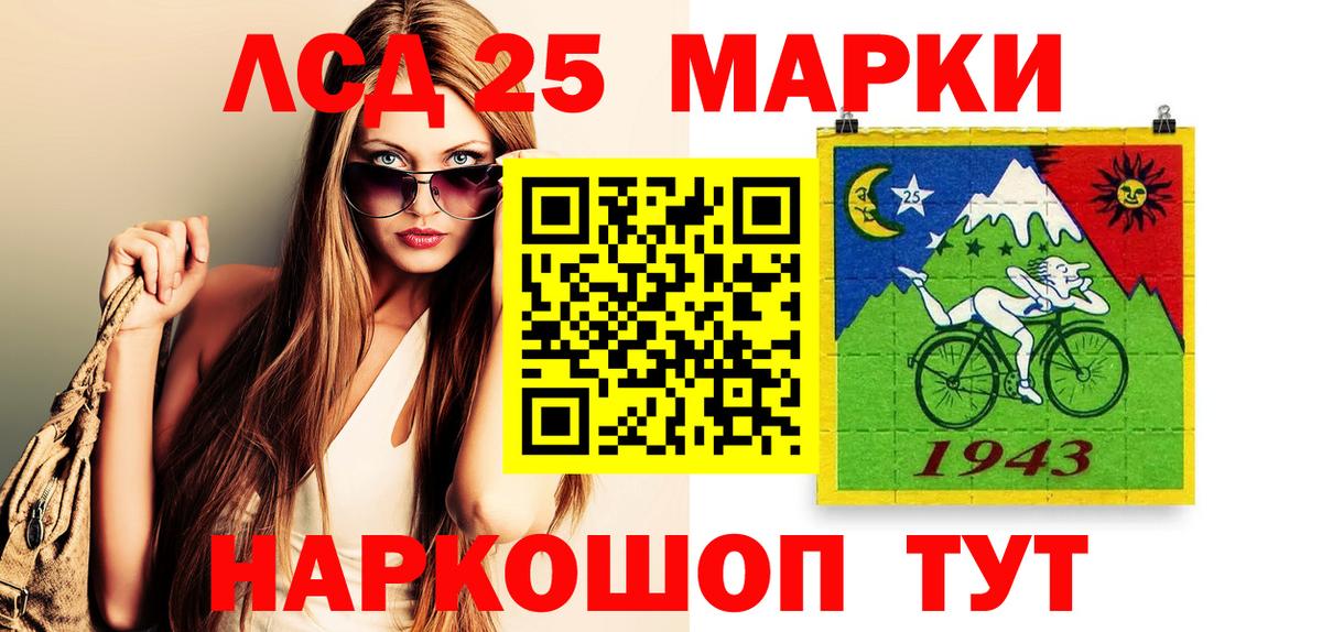 МЕФ Людиново