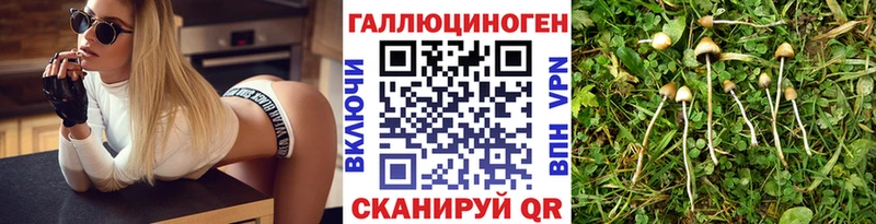 гидра зеркало  Людиново  Псилоцибиновые грибы GOLDEN TEACHER 
