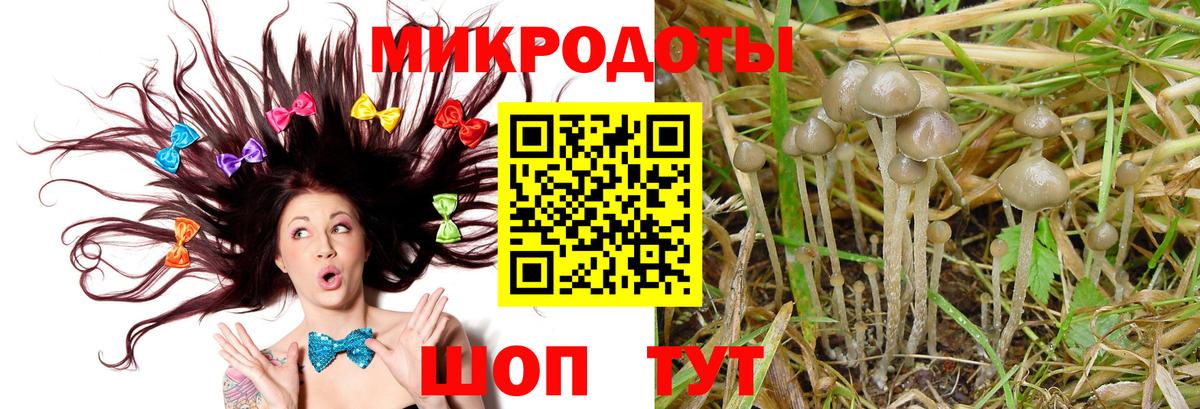 Псилоцибиновые грибы ЛСД  Людиново 