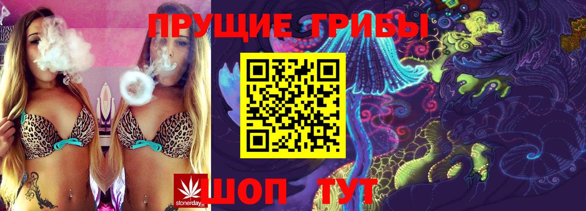 Псилоцибиновые грибы Psilocybe Людиново