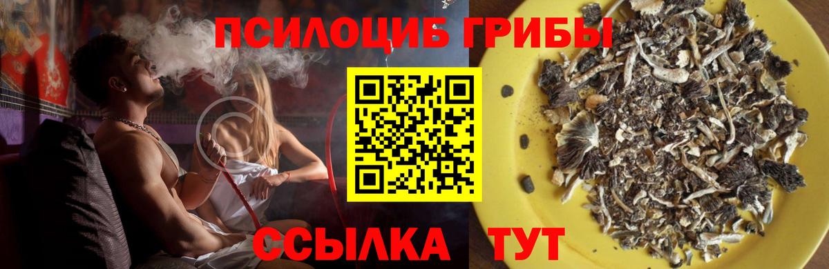 Псилоцибиновые грибы прущие грибы Людиново