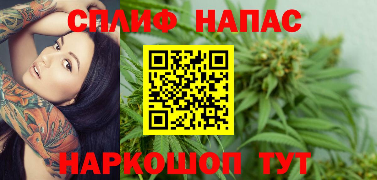 Конопля план Людиново